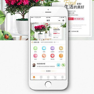 大冶门店微商城小程序开发