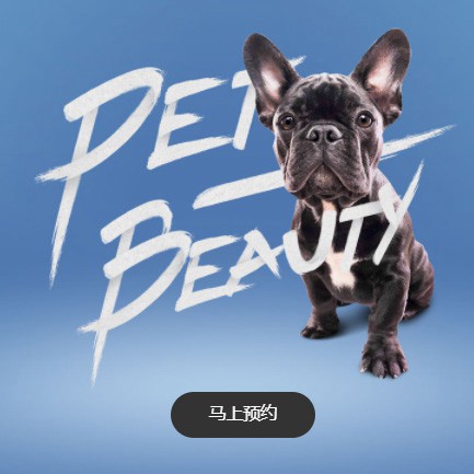 大冶宠物中心小程序开发